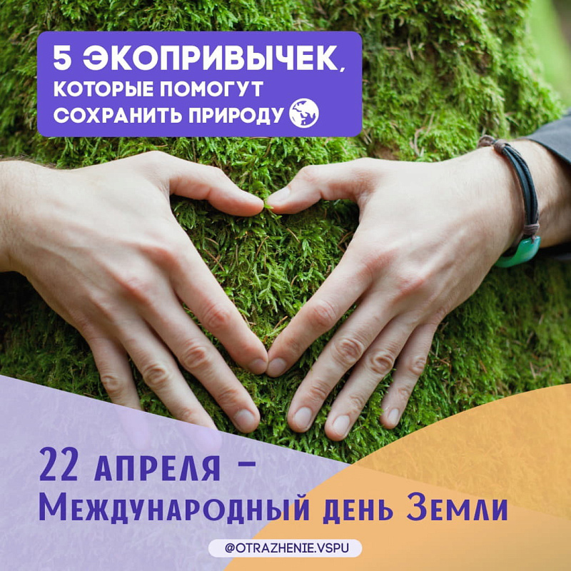 Описание изображения